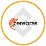 Cerebras Systems Inc.